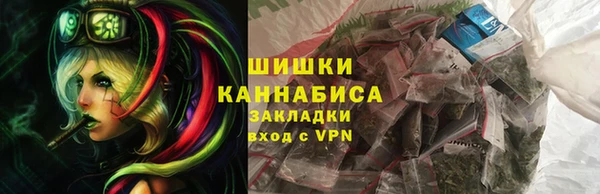 шишки Коряжма