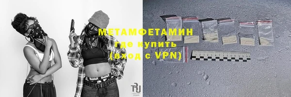 шишки Коряжма