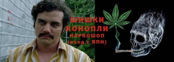 ALPHA PVP Корсаков