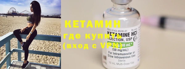 шишки Коряжма