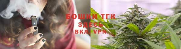 шишки Коряжма
