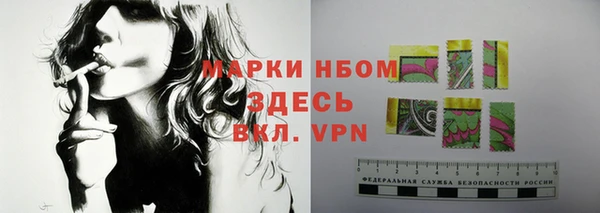 шишки Коряжма