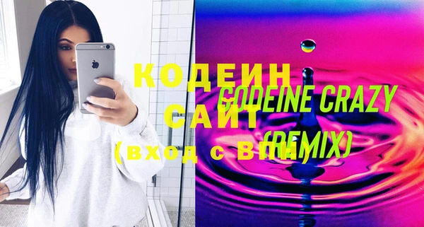 шишки Коряжма