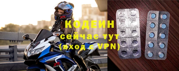 шишки Коряжма