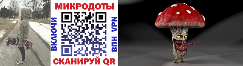 Купить  Вичуга  Псилоцибиновые грибы MAGIC MUSHROOMS 