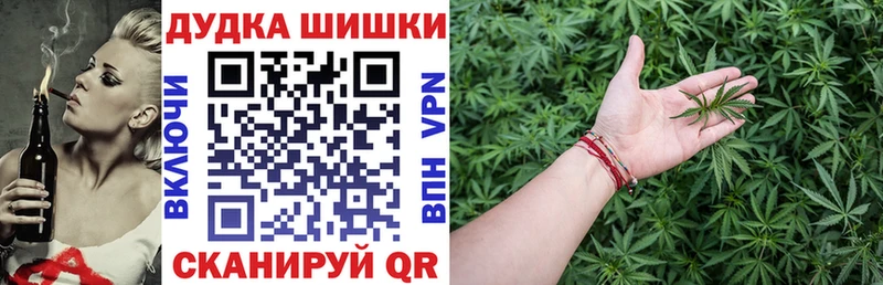 Каннабис планчик Вичуга